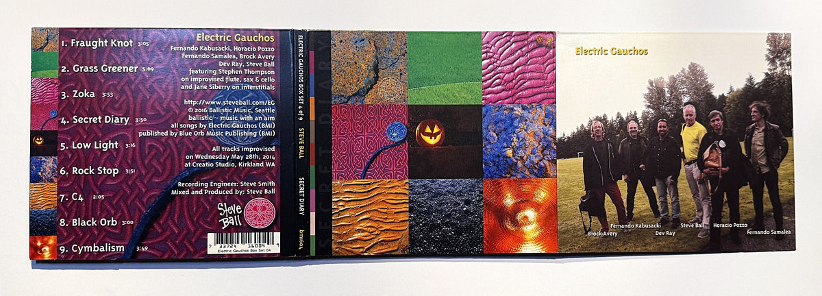 Electric Gauchos Secret Diary CD, back
