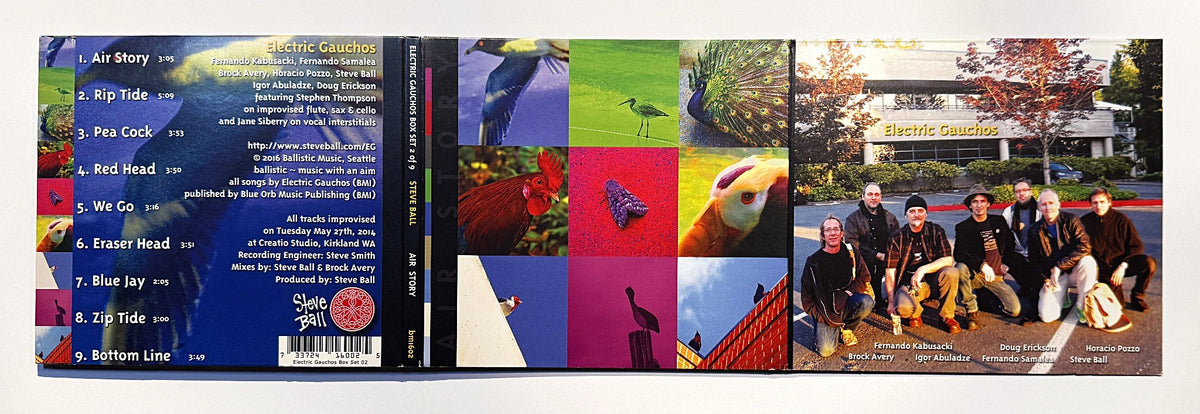 Electric Gauchos Air Story CD, back