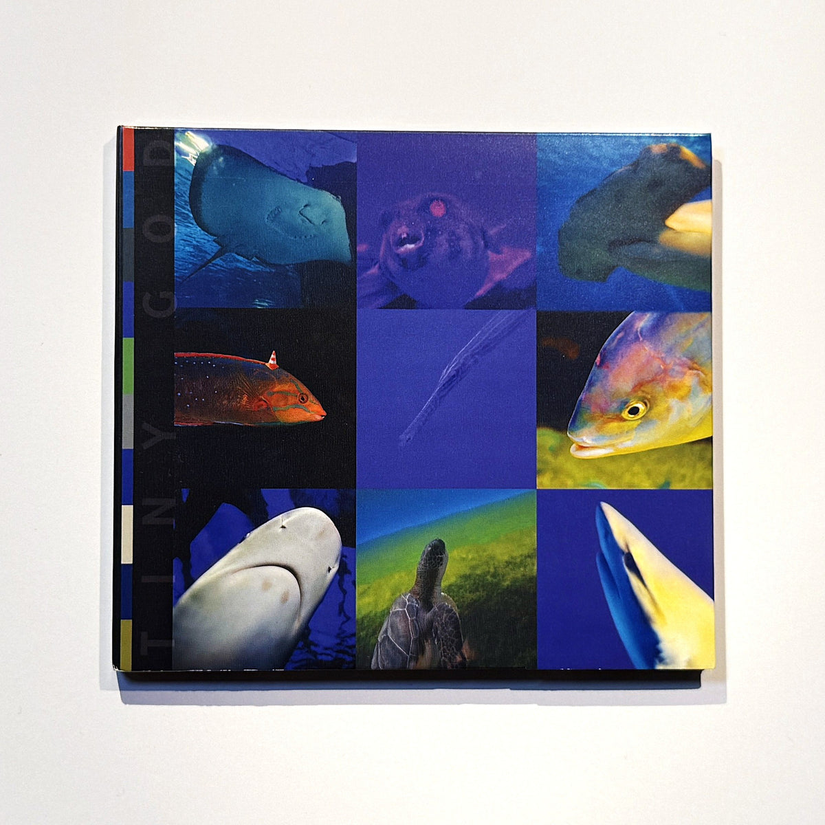 Electric Gauchos Tiny God CD, front