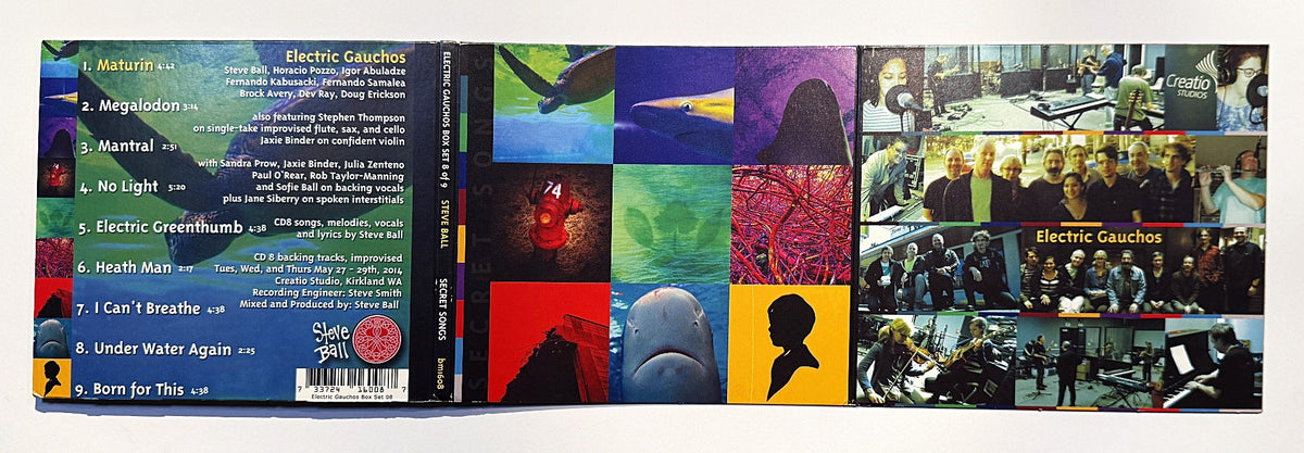 Electric Gauchos Secret Songs CD, back
